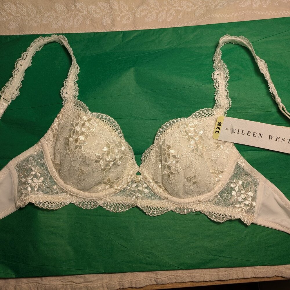 Elegant Ivory NWT Floral Embroidery Bra Eileen West 32B